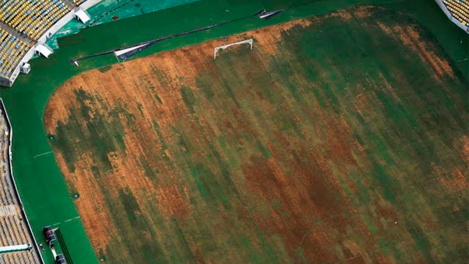 Grama natural desgastada